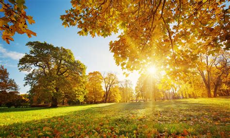 Fall officially arrives with unseasonably warm weather